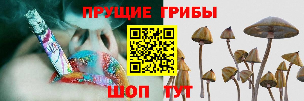Когалым  Псилоцибиновые грибы Cubensis  Галлюциногенные грибы MAGIC MUSHROOMS  Вход с VPN 